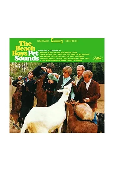 תמונה של Beach Boys Pet Sounds תקליט