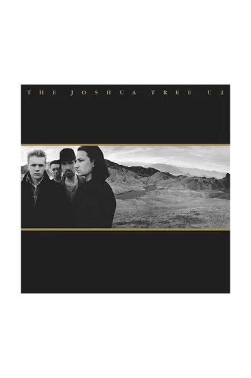 U2 The Joshua Tree תקליט 