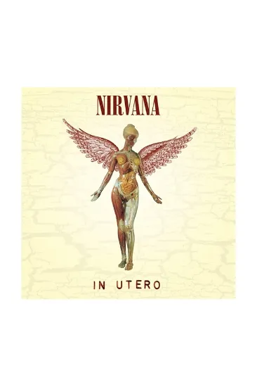 Nirvana In Utero - תקליט