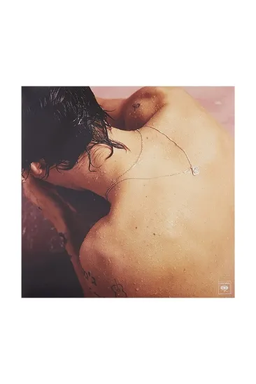 Styles Harry Styles Harry - תקליט