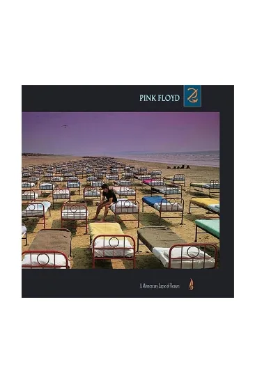 Pink Floyd  - A Momentary Lapse of Reason תקליט 