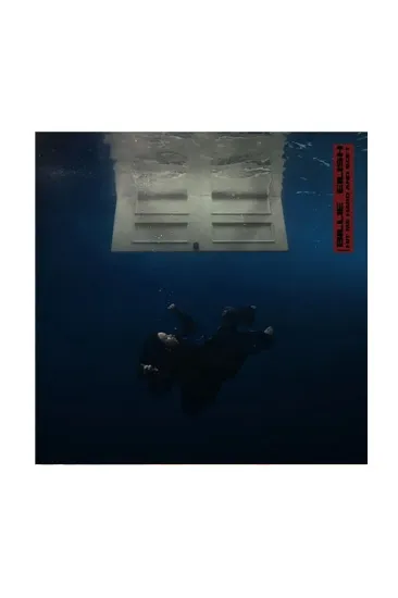 Billie Eilish Hit Me Hard And Soft תקליט 