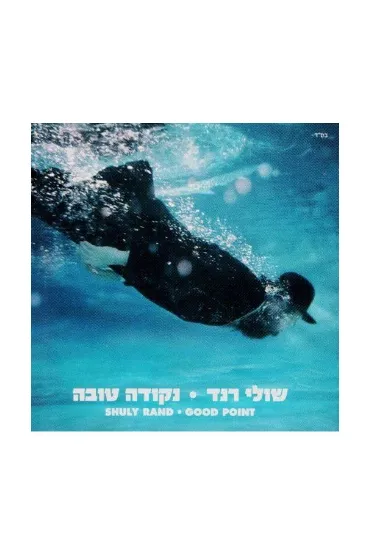 שולי רנד נקודה טובה - תקליט  