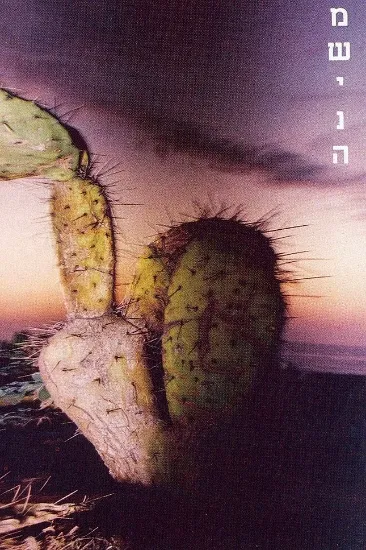 משינה 2 - קלטת 