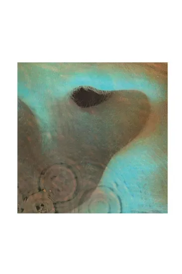 Pink Floyd Meddle - תקליט 