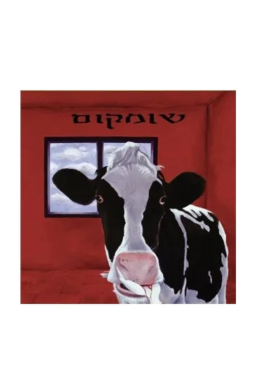 אביב גפן שומקום  תקליט 