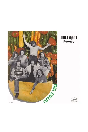 כוורת פוגי בפיתה תקליט